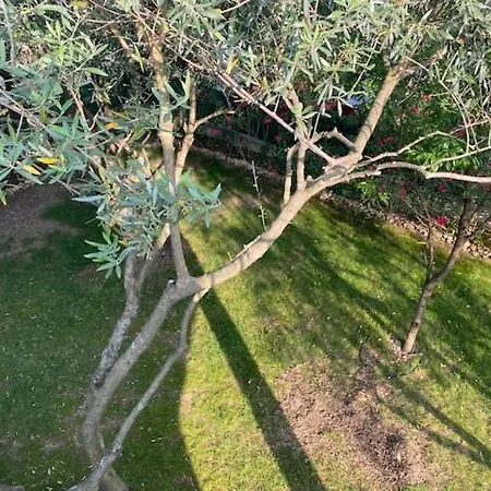 De Standing Avec Piscine Et Climatisation Vila